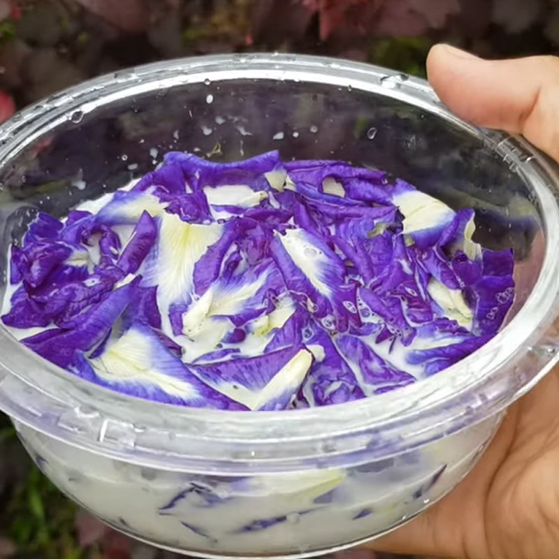 Bước 1 Ngâm hoa đậu biếc với sữa tươi Kem hoa đậu biếc sữa