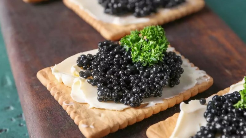 Trứng cá tầm (Caviar)