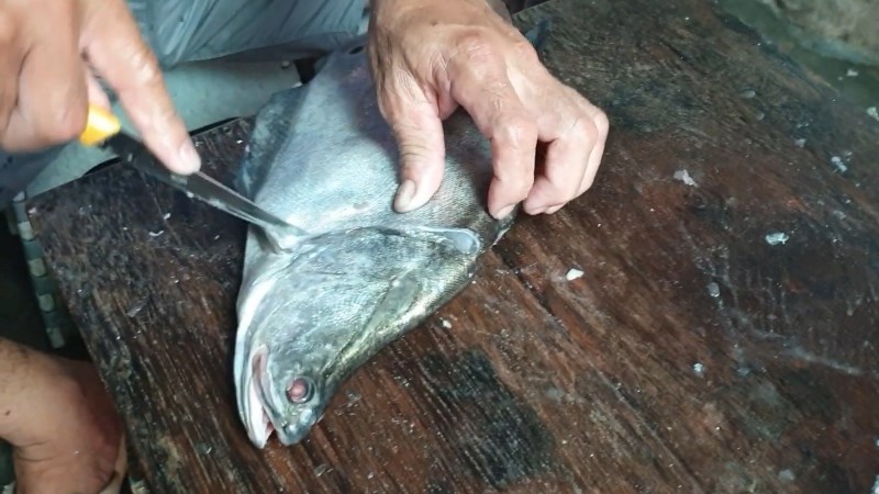 Cách nạo cá thác lác – Chả cá Nha Trang