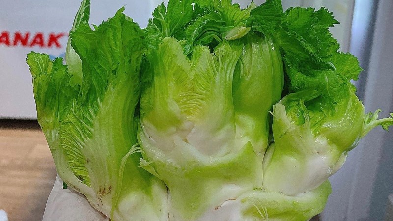 Rau mầm đá