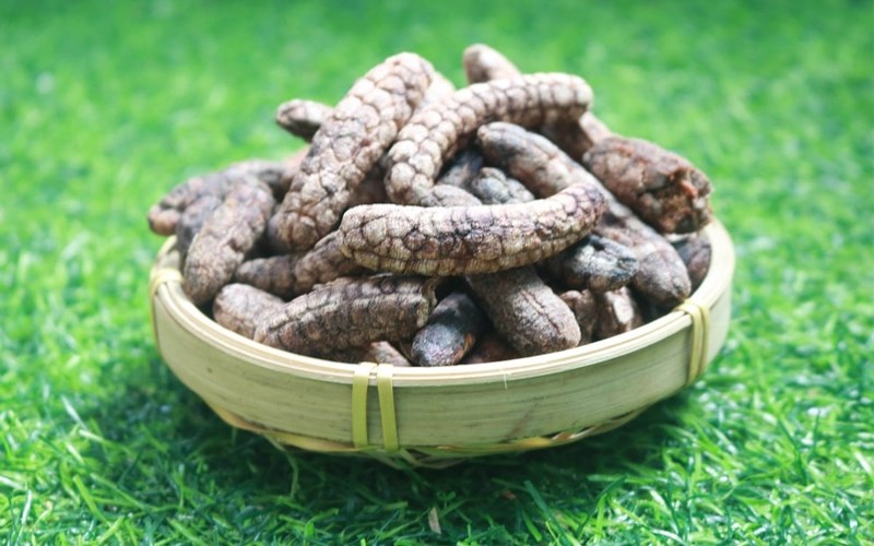 Chuối rừng