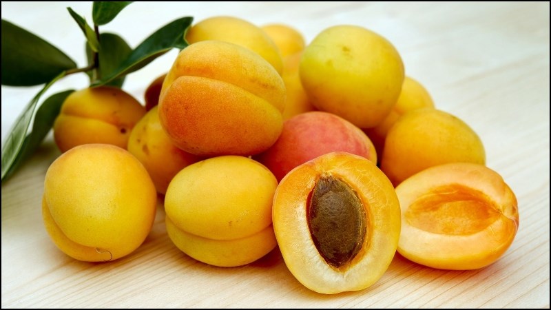 Mơ Hương Tích