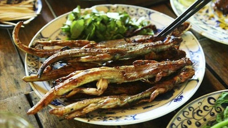 Thằn lằn núi Bà Đen