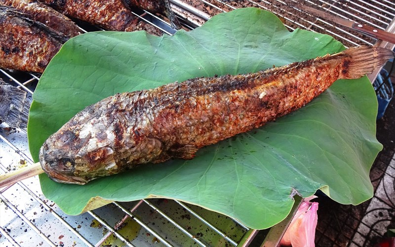 Cá lóc nướng