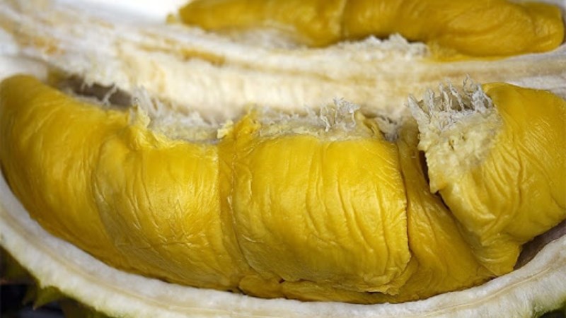 Sầu riêng Khánh Sơn