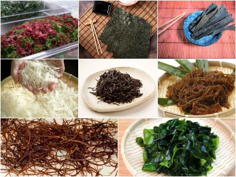 Các loại rong biển ở Nhật Bản