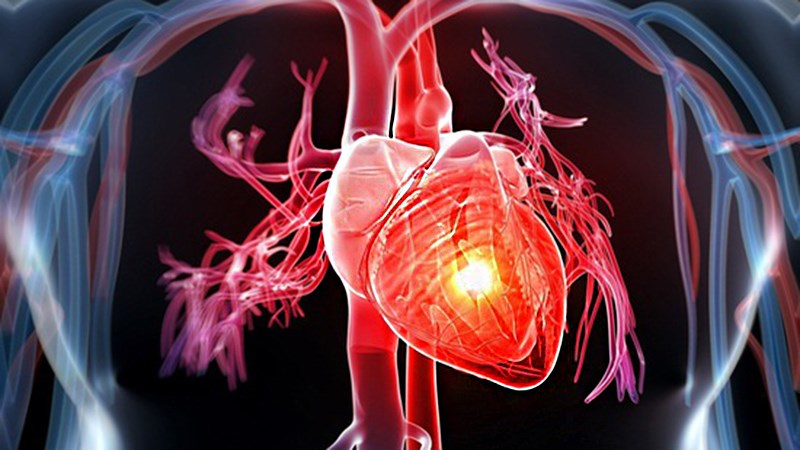 Giảm nguy cơ mắc bệnh tim mạch và tiểu đường 