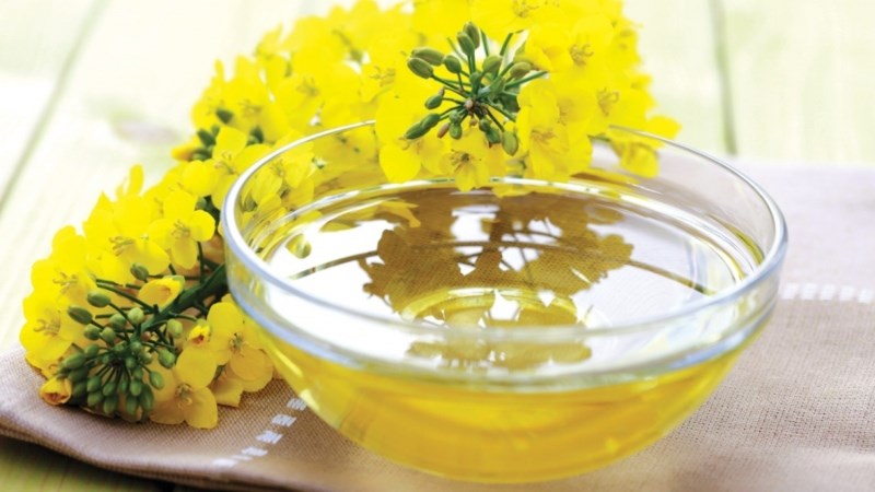 Dầu hạt cải