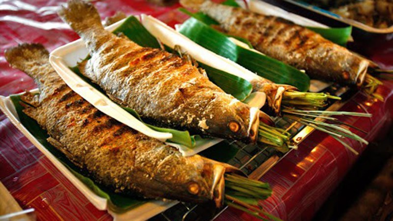 Cá suối