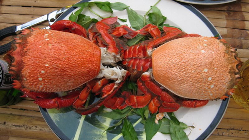 Cua Huỳnh Đế