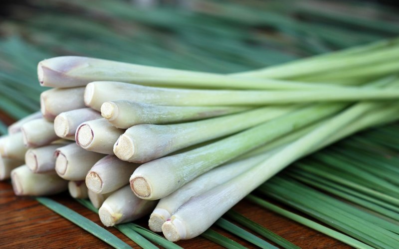 cách bảo quản sả