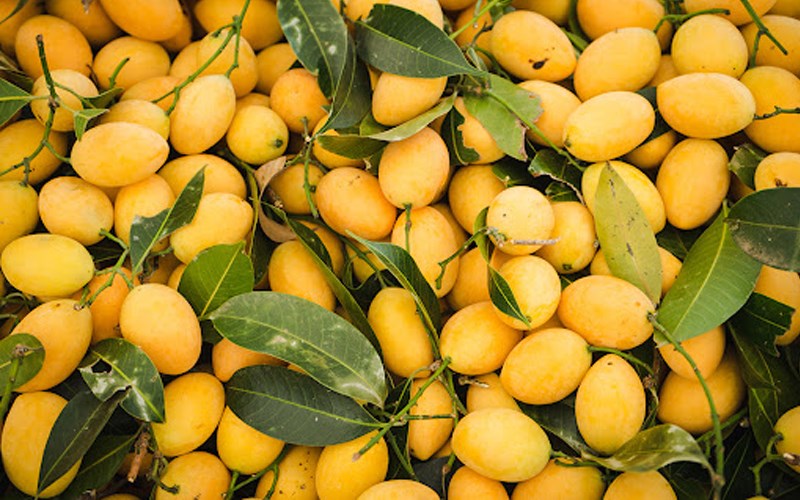Xoài Cao Lãnh