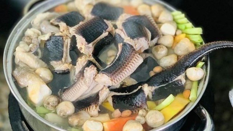 Rắn ri