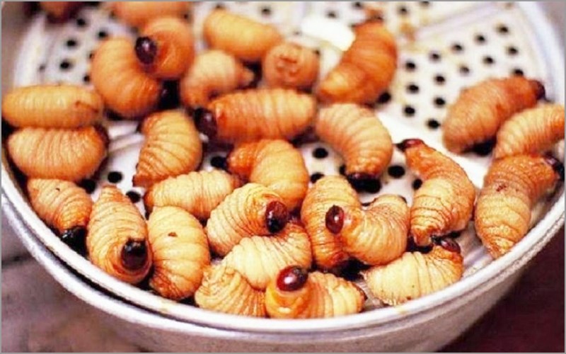 Đuông chà là 