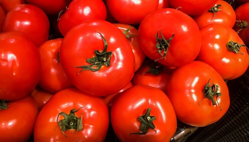 Cách chọn mua cà chua