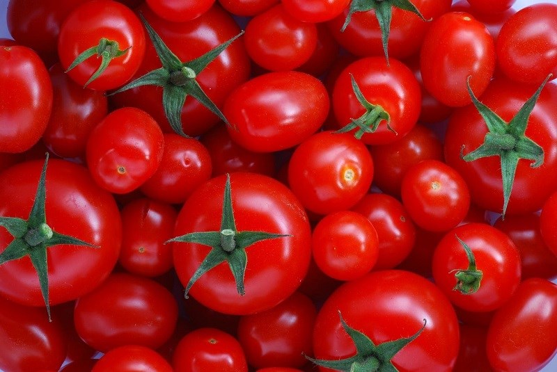 Vitamin và các khoáng chất trong cà chua