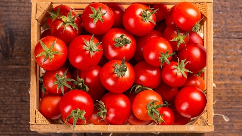 Thành phần thực phẩm của cà chua