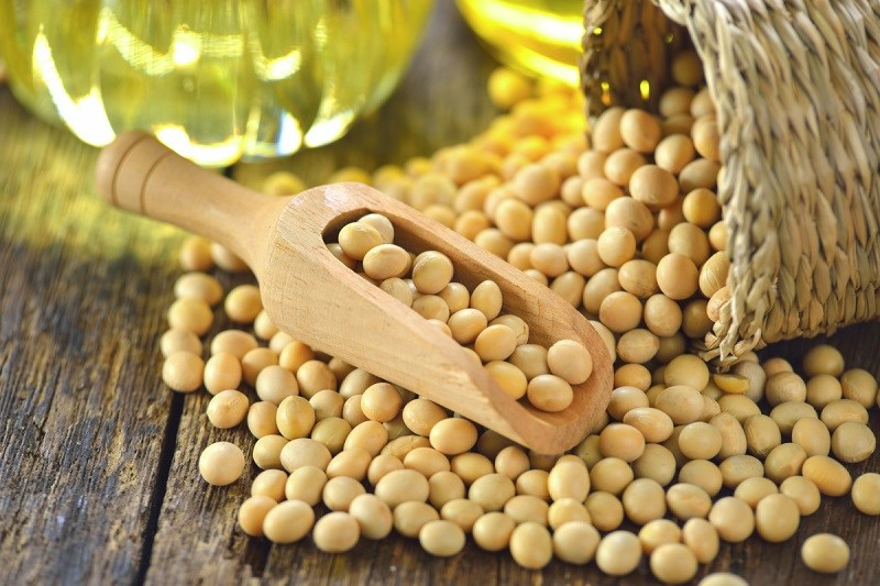 Dầu đậu nành là gì?