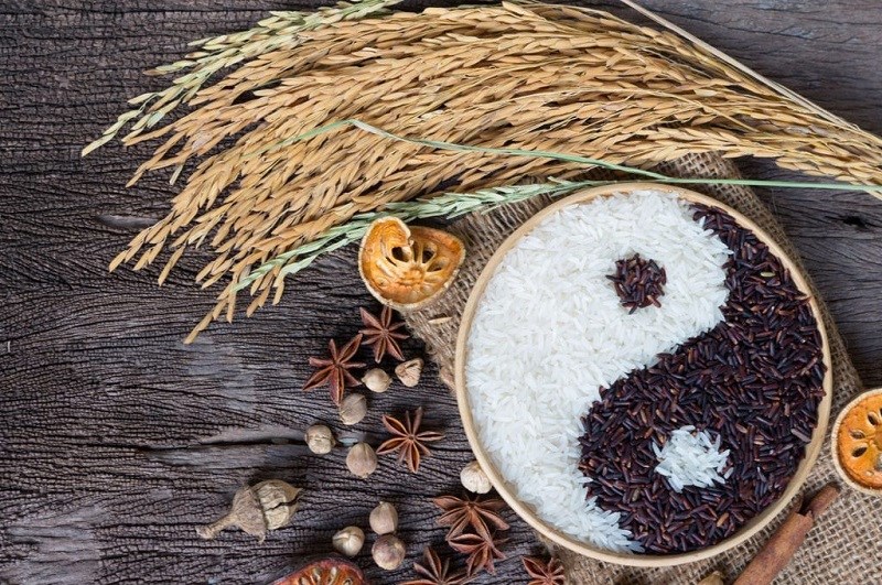 Thực dưỡng là gì?