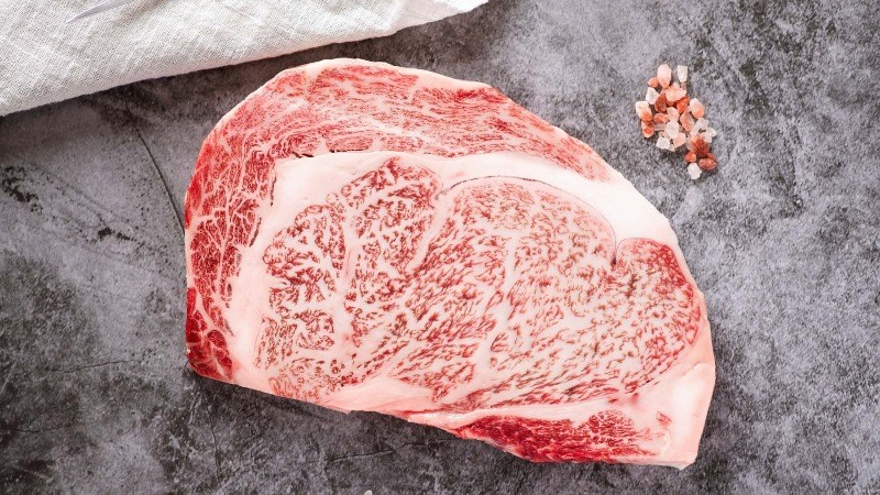 Bò Hokkaido Holstein