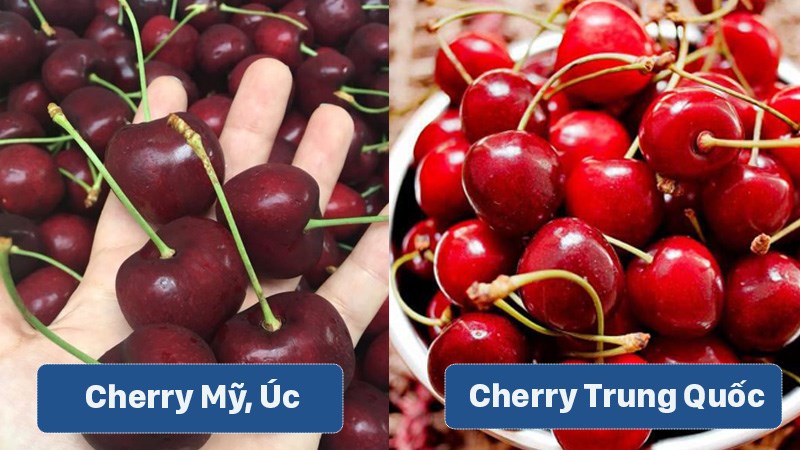 Phân biệt cherry Mỹ Úc và cherry Trung Quốc