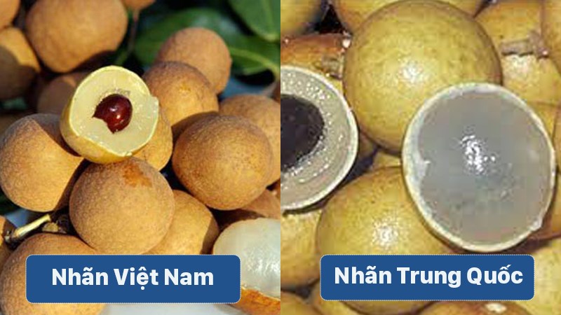 Phân biệt nhãn Việt Nam và nhãn Trung Quốc