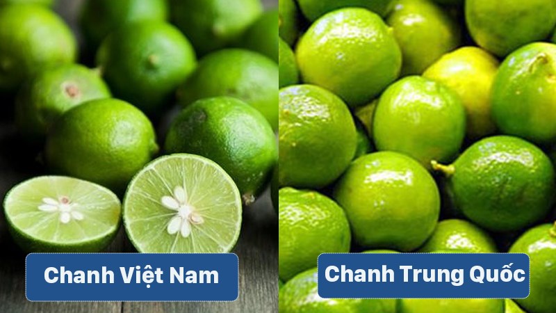 Phân biệt chanh Việt Nam và chanh Trung Quốc