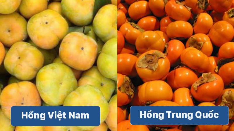 Phân biệt hồng Việt Nam và hồng Trung Quốc