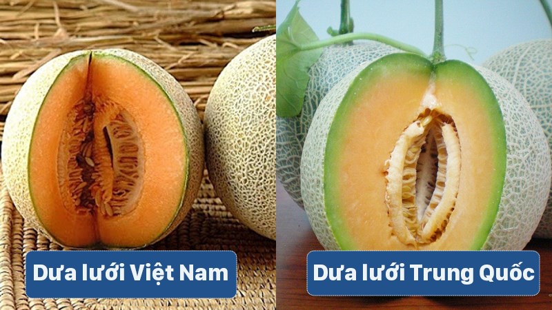 Phân biệt dưa lưới Việt Nam và dưa lưới Trung Quốc