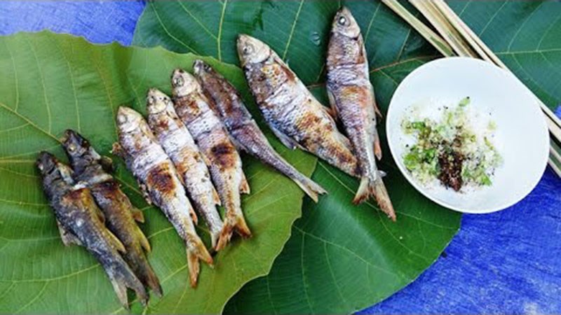 Cá suối