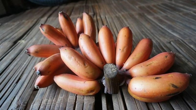 Chuối cau lửa