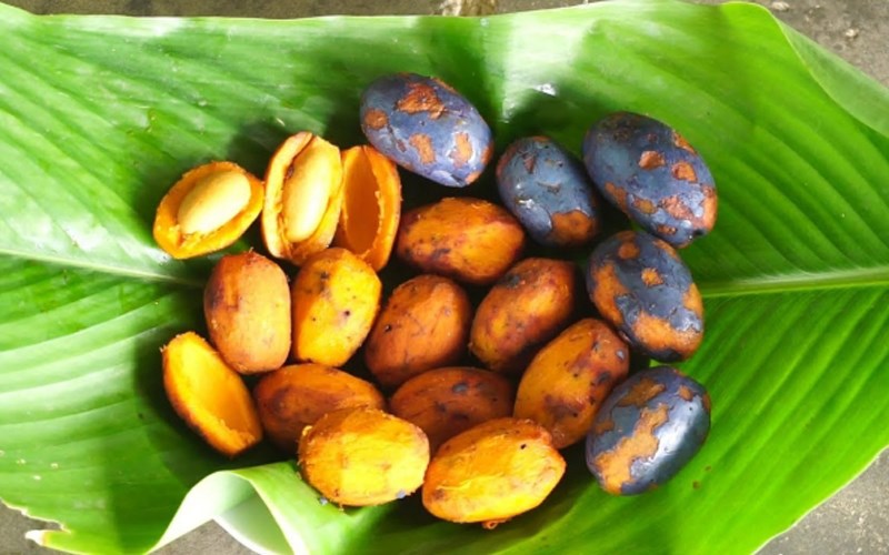 Cọ ỏm