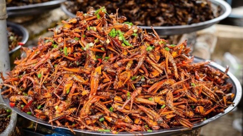 Dế chiên Kon Tum