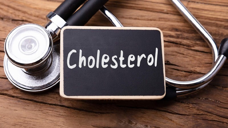 Mực chứa ít cholesterol