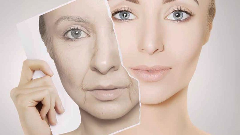 Quả nho thân gỗ làm chậm quá trình lão hóa