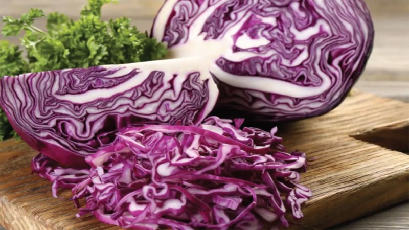 Bắp cải tím