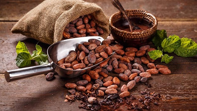 Cacao tốt cho phổi