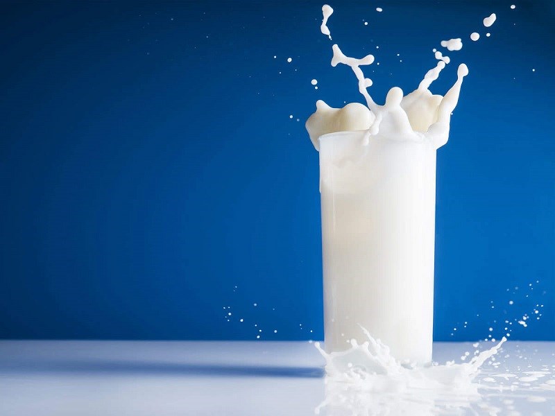 Thành phần chất béo trong sữa