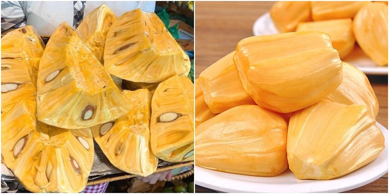 Các loại mít ngon được trồng phổ biến ở Việt Nam, bạn đã biết chưa?