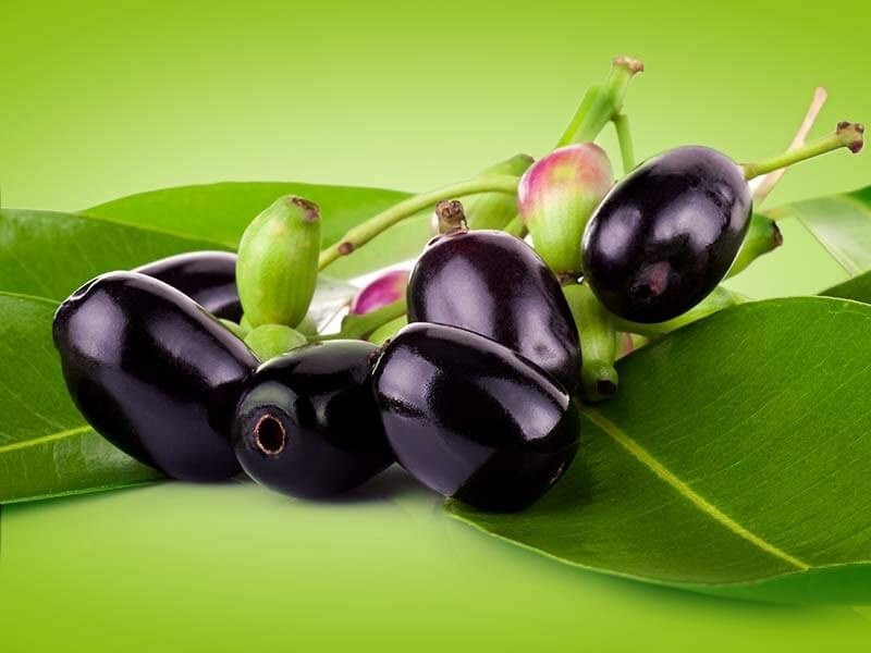 Đặc điểm trái trâm