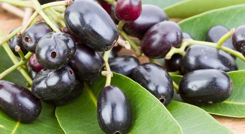 Tính chất chống oxy hoá