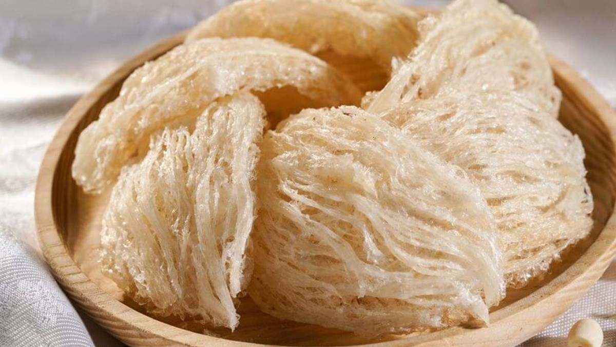Bảo quản yến tươi và yến khô