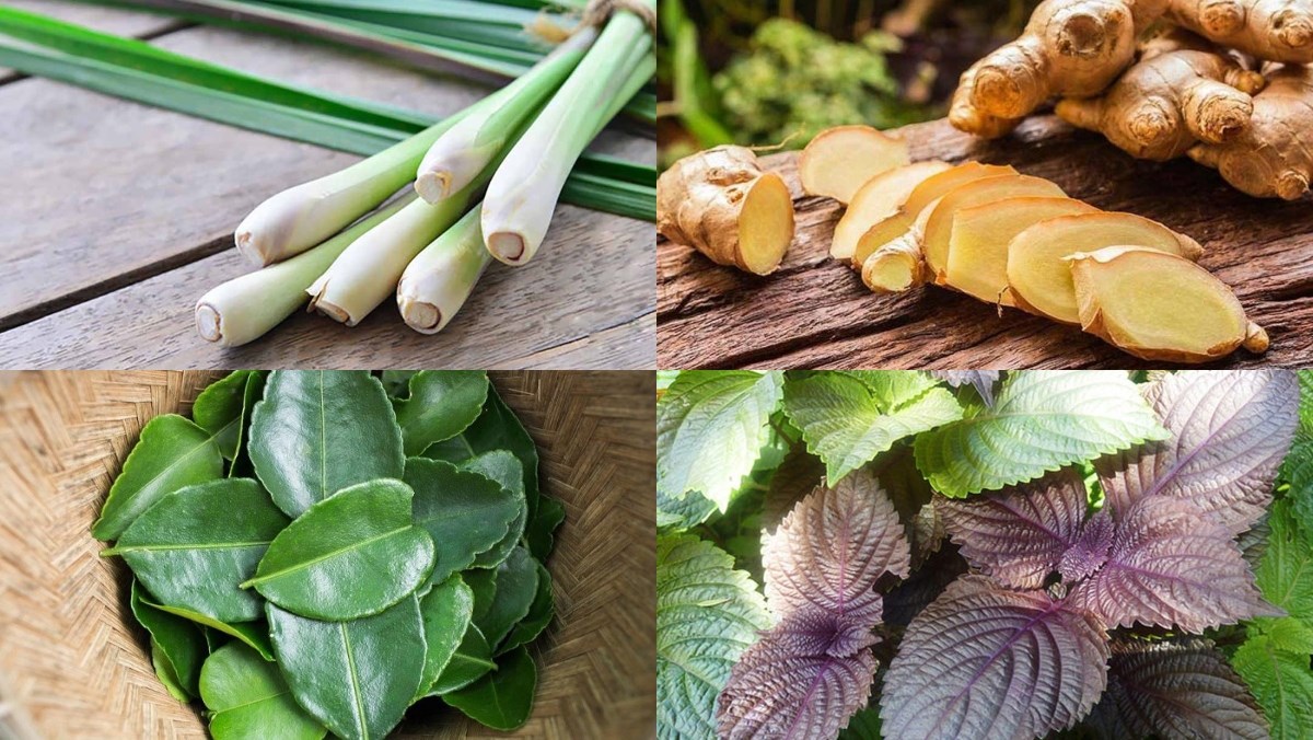 Các loại lá xông hơi giải cảm