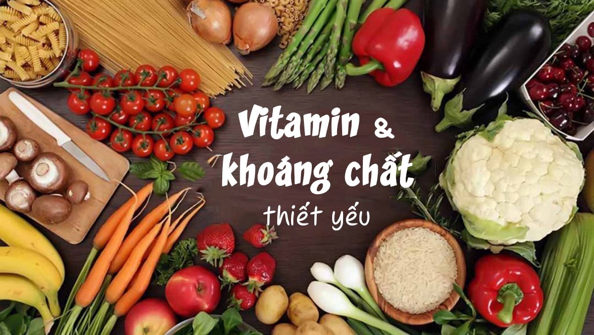 Các loại vitamin và khoáng chất