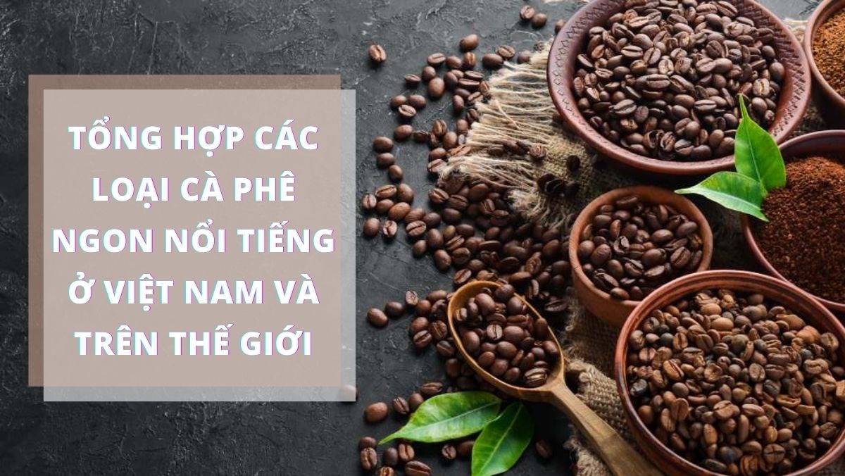 Tổng hợp về cà phê ở Việt Nam và trên thế giới