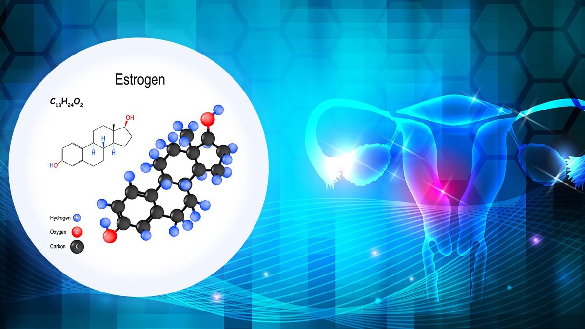 Estrogen là gì, có vai trò gì? Tác dụng