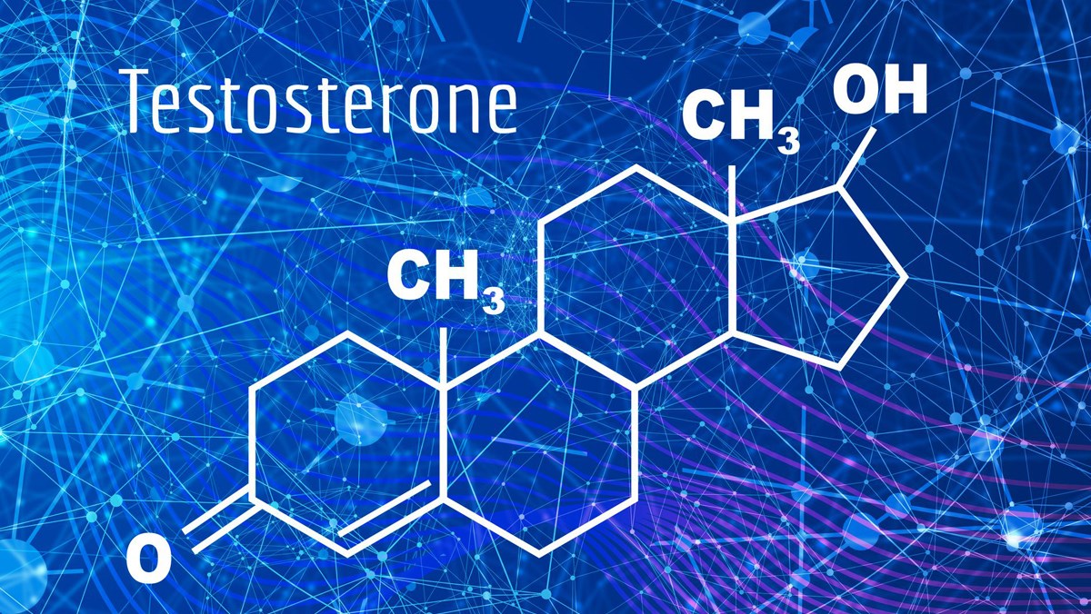 Testosterone vai trò gì, tác dụng? Thực phẩm chứa hormone này