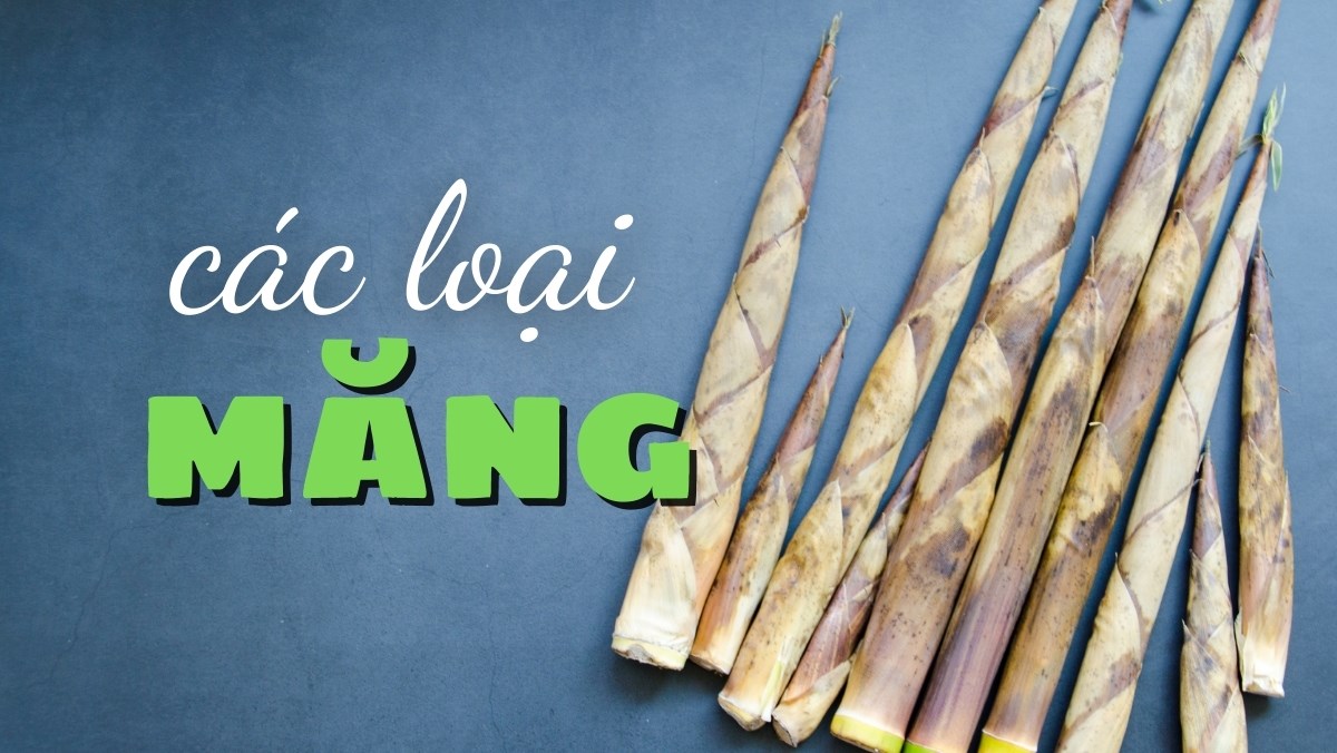 Tổng hợp các loại măng tươi, măng tre ăn được tại Việt Nam