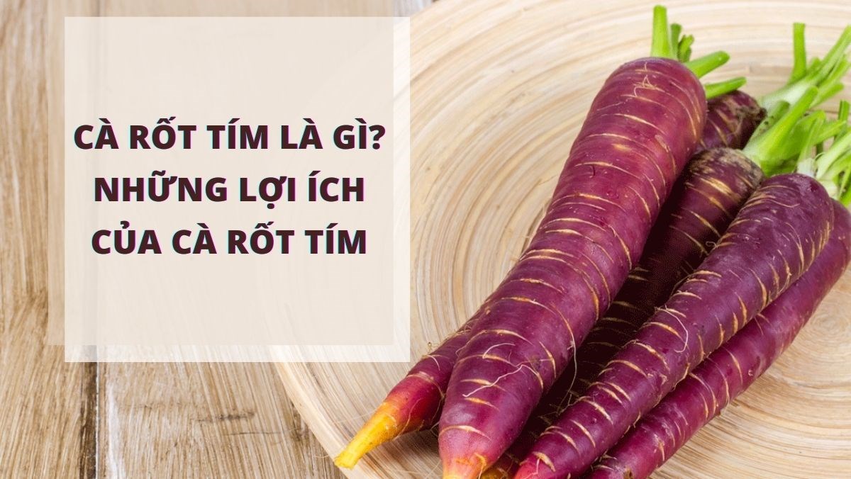 Cà rốt tím là gì, lợi ích của cà rốt tím