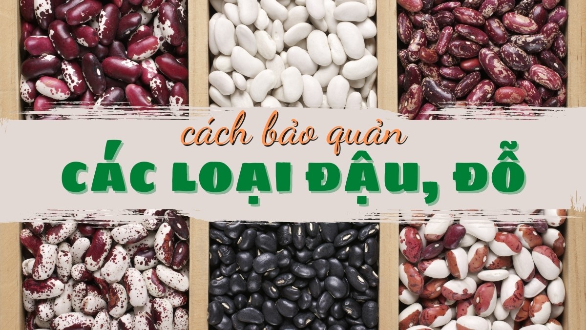 Hạt Đậu Đen Để Được Bảo Lâu - Cách Bảo Quản Hiệu Quả Và Đúng Cách